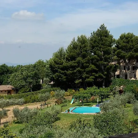 Sogno Di Davide * Assisi