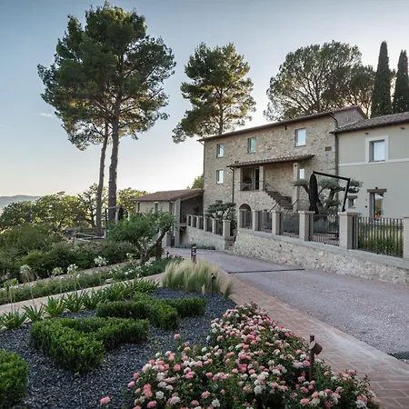 Sogno Di Davide Lantställe Assisi