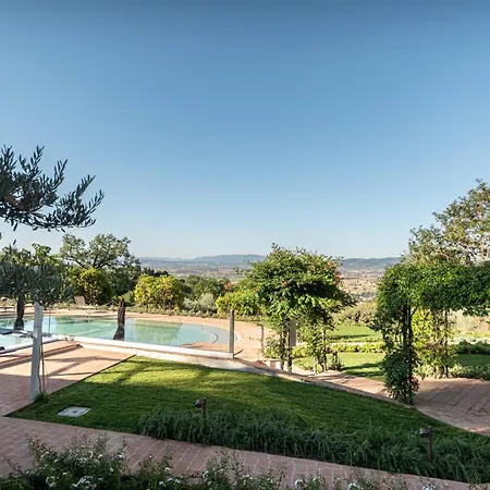 Sogno Di Davide * 아시시