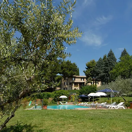 Sogno Di Davide